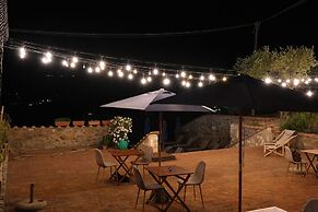Casa M Vineyard