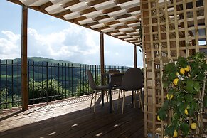Casa M Vineyard