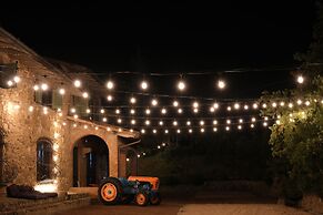 Casa M Vineyard