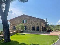 Casa M Vineyard