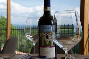 Casa M Vineyard