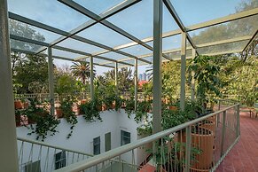 Nido Condesa