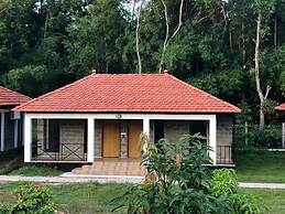 Rain Forest Eco Resort