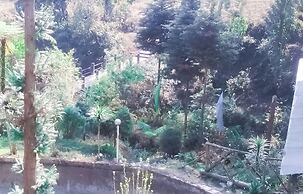 Superview Waterfall