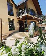 Villa Alexander Dilijan