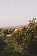 Chão do Ribeirinho