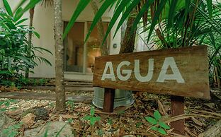 OMA Cancun Holistic Healing Center