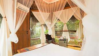 OMA Cancun Holistic Healing Center