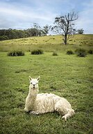 The Vale Penrose