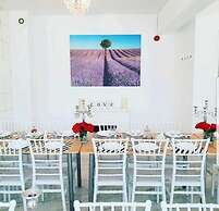 YOUness WELLness Clinic & Retreat