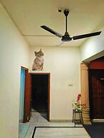 Ohh Hostler Jaipur