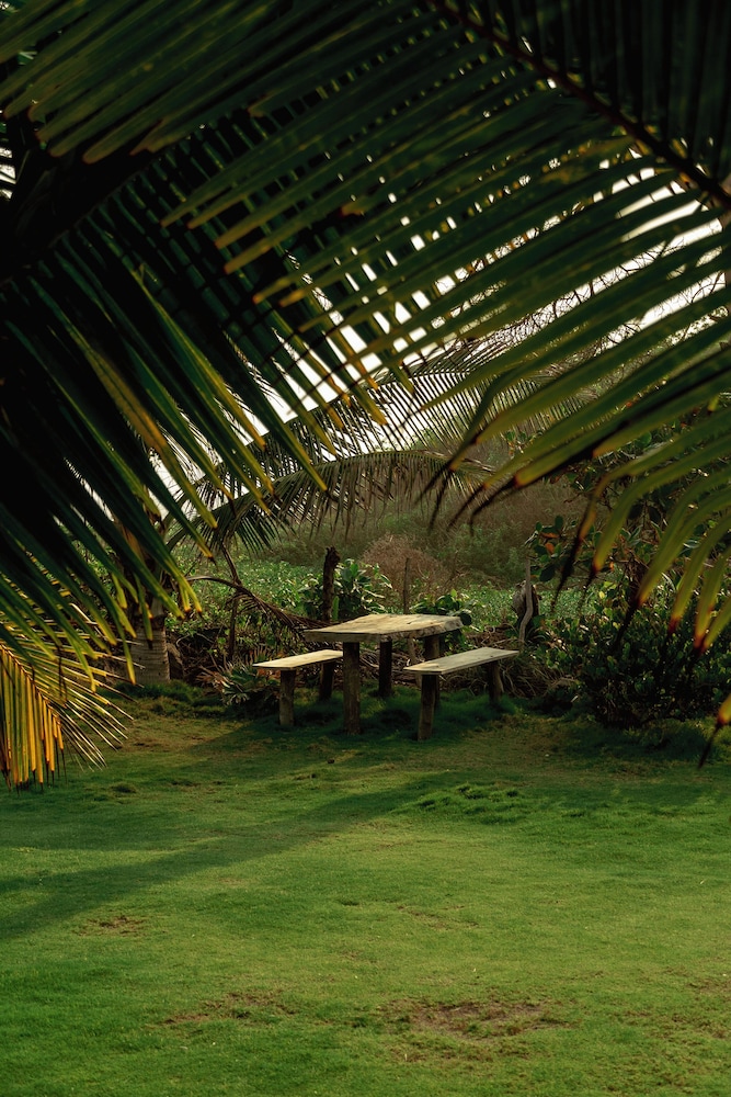 NAIA Miravalle