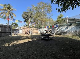 Green Reed Homestay
