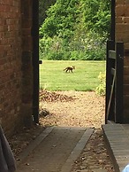 The Old Vicarage