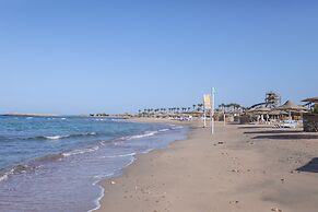 Calimera Blend Paradise