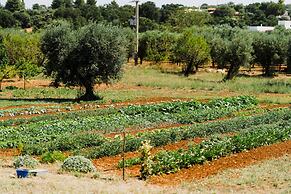 Masseria Soluco
