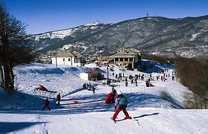 Archontiko Michael Vyzítsa Pelion
