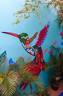 Linda Vecindad Playa del Carmen