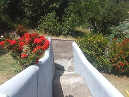 Seaclusion Apartments
