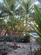 Ocean Oasis Hotel