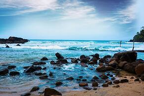 Surf Sea Breeze