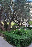 Olive Garden Apartments Petrovic