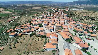 PH in Alto Douro Vinhateiro