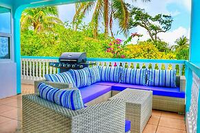 Blue Whale Villa
