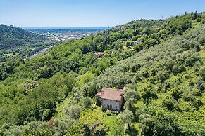 La Casa Dei Limoni