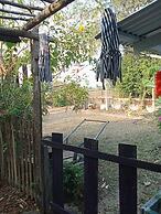 peaceland farmstay
