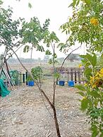 peaceland farmstay