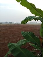 peaceland farmstay