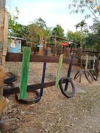 peaceland farmstay