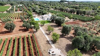 TD Trullo Titiro w Wine Cellar Vineyard Pool
