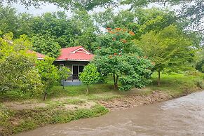 The Creek Resort