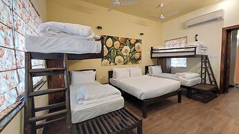 Tathastu Tadoba