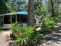 Beachfront apartment Punta uva