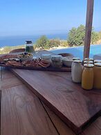 Olive Villas