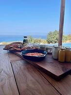Olive Villas