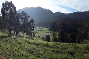 Kadumane Hills Resorts