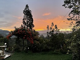 The Blossoms