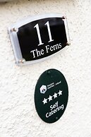 The Ferns