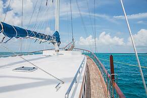 Akoya Pearl