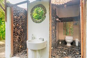 Magic Greeen Tayrona