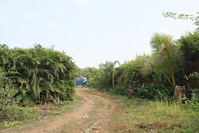 Rio Forest Resort