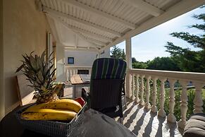 Apartments Domic