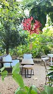 Atii Garden Bungalows