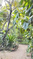 Atii Garden Bungalows
