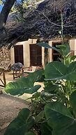 Atii Garden Bungalows