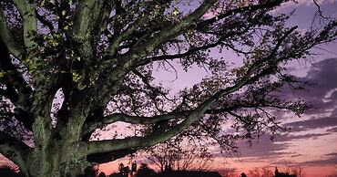 Oak View Manor